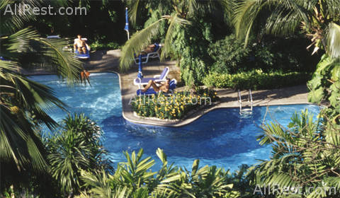 Sofitel Central Plaza Bangkok 10